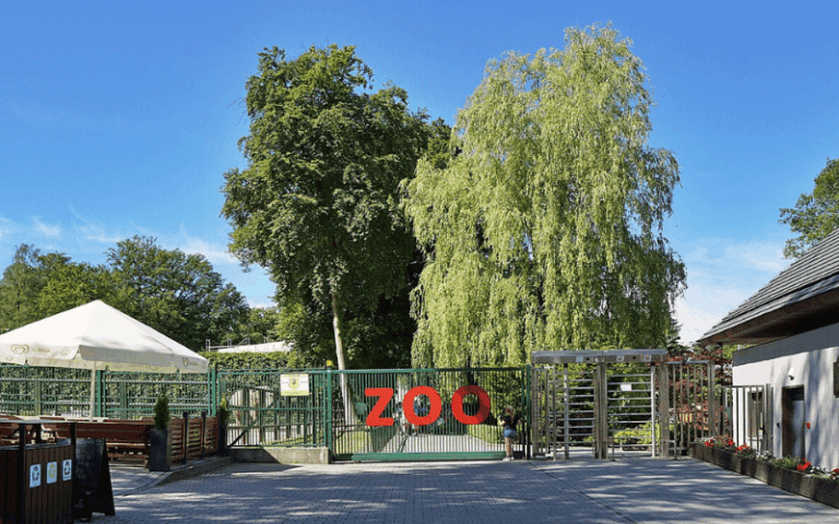 Co&nbsp;jeszcze zobaczyć w&nbsp;Krakowie? Ogród zoologiczny