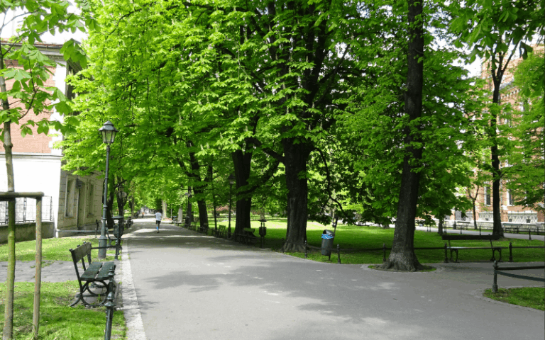 Planty – park w&nbsp;sercu miasta Krakowa
